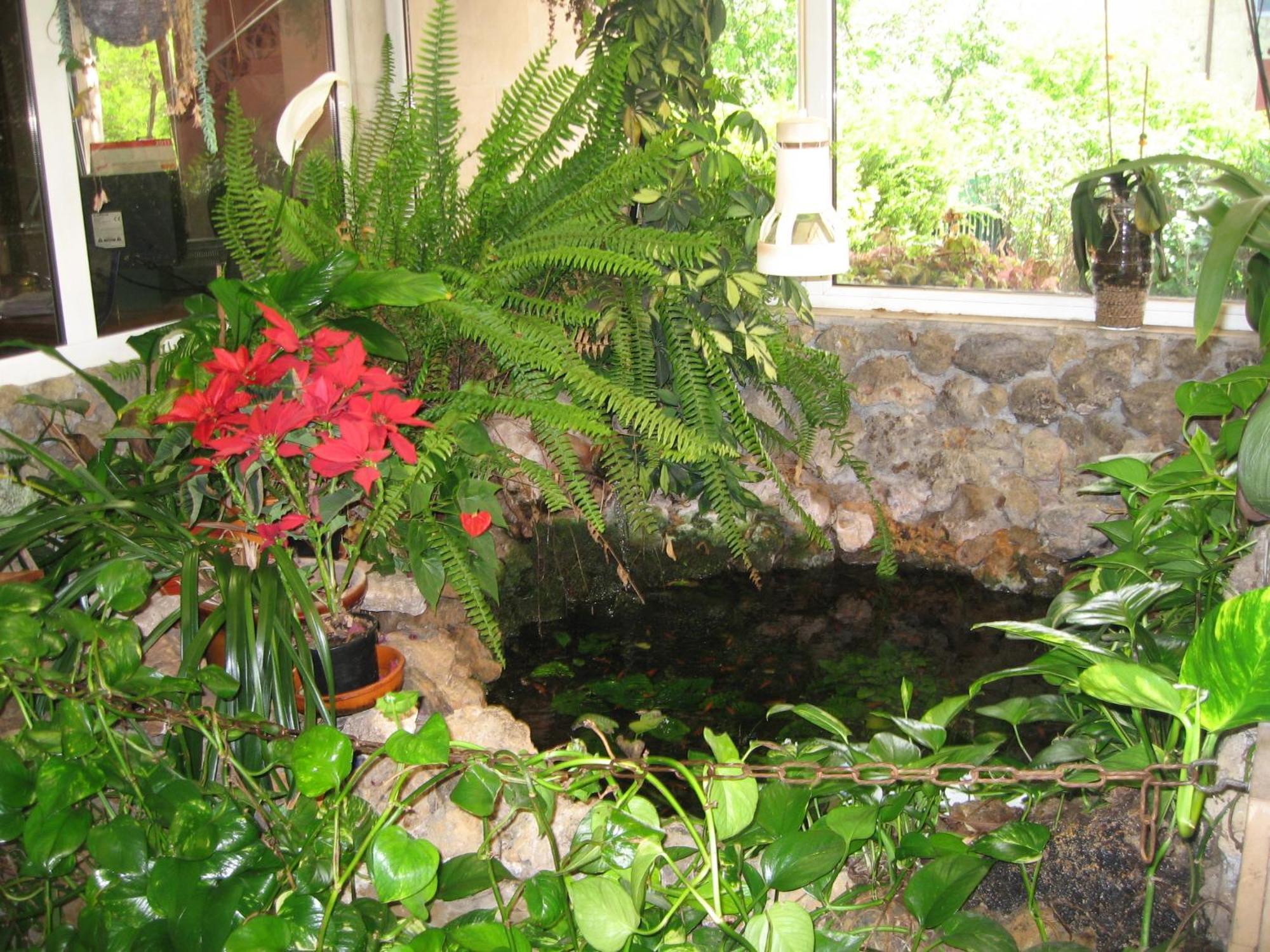 فندق كامارجو Igollo المظهر الخارجي الصورة